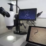 crca_equipe_Jeanson_Project2_2