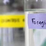 crca_equipe_Jeanson_Project2_9