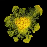 crca_equipe_Jeanson_Project1_4