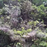 crca_equipe_Jeanson_Project5_7