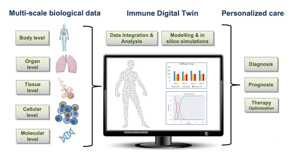 Schéma multi echelles données biologiques, jumeaux numérique et medecine personnalisée