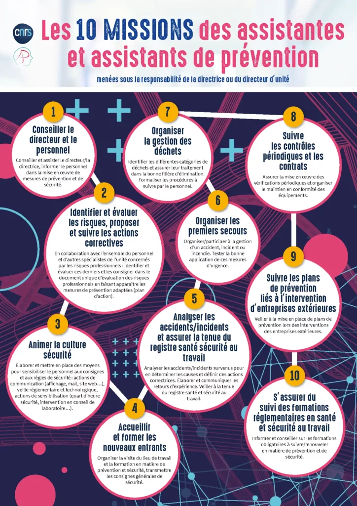 schéma explicatif activités du comité H&S