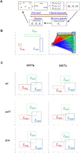 Schéma scientifique d'analyse d'image