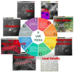 Schéma des différentes expertises de la plateforme analyse d'images