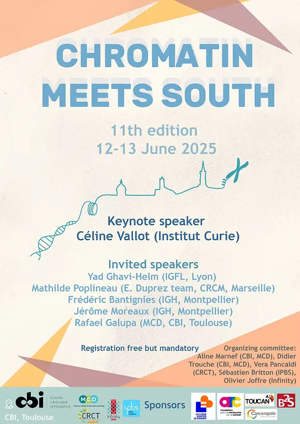 Chromatin Meets South